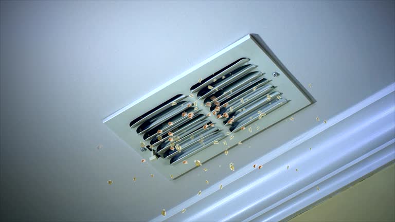 Best Home Air Vent Cleaning  in Glencoe, FL
