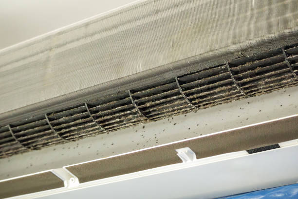 Ductwork Cleaning Services in Glencoe, FL